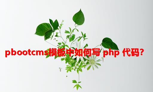 PbootCms模板中如何写 PHP 代码？